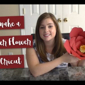 How to Make a Giant Paper Flower Using a Cricut