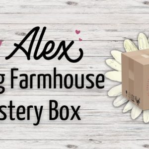 Introducing the DIY Alex Spring Farmhouse Mystery Box with 143VINYL!