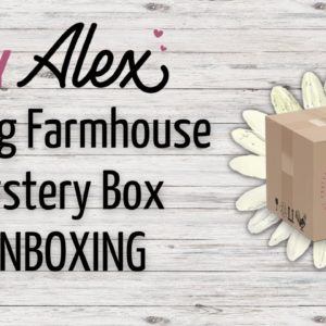 Spring Farmhouse Mystery Box UNBOXING | 143VINYL + DIY Alex Mystery Box