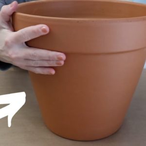 Do THIS to a terra cotta pot to get gorgeous spring decor!