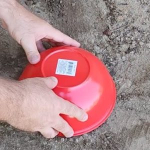 He lays a Dollar Store bowl in the dirt for this brilliant idea!