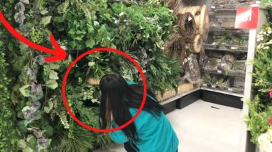 She grabs fake greens for this genius hack!