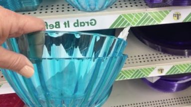 The brilliant reason she buys blue Dollar Store bowls