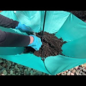 The brilliant reason she pours dirt into an upside down umbrella