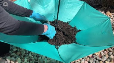 The brilliant reason she pours dirt into an upside down umbrella