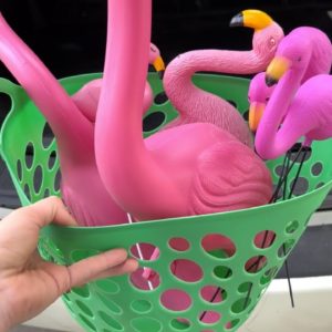 Why smart homeowners are buying Dollar Store flamingos!