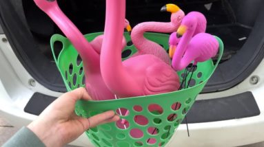 Why smart homeowners are buying Dollar Store flamingos!