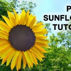 Make a Giant Paper Sunflower Tutorial (with Fibonacci Sequence Seed Head)