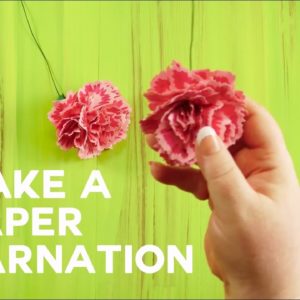 Paper Carnation - Rolled and Ruffled Petals