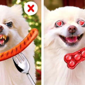 PRICELESS HACKS & COOL GADGETS FOR PET OWNERS