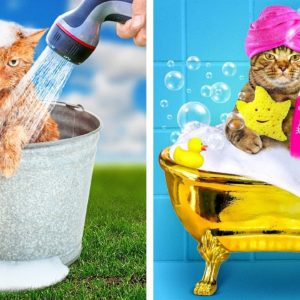 RICH vs BROKE PET OWNER || COOL GADGETS & SMART HACKS FOR YOUR PETS