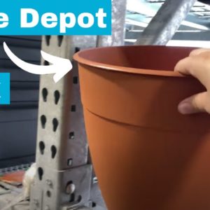 Turn a cheap Home Depot pot into INCREDIBLE home decor