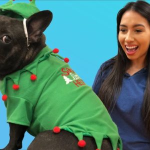 Embroidery Hub Ep. 31: Dog Costume | How to Embroider Dog Clothes | Christmas Embroidery