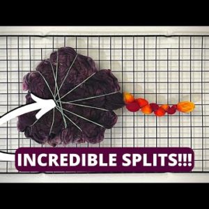 How to Tie Dye : 18 Point FLAME MANDALA & Black Cherry Scrunch I HWI Tie Dye