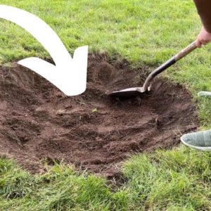 Why she digs a hole in her backyard... (WOW!)