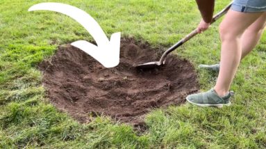 Why she digs a hole in her backyard... (WOW!)