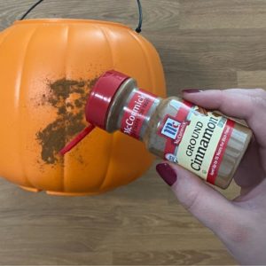 The brilliant reason she sprinkles cinnamon on a Walmart pail