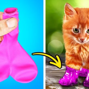 CUTE TIKTOK PET HACKS | CLEVER GADGETS AND FUNNY CRAFTS