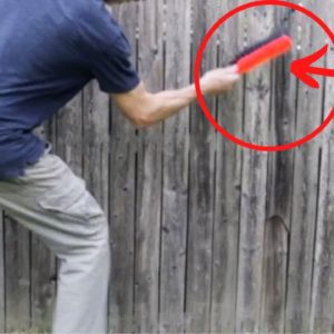 He brushes down his fence for this BRILLIANT idea!