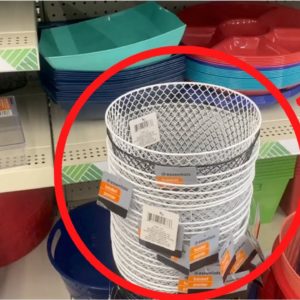 Why everyone's buying Dollar Store trash cans!