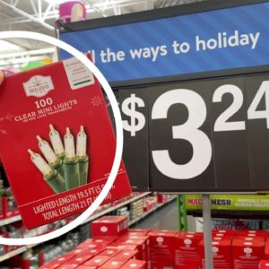 Why everyone's grabbing $3.24 Walmart lights (not for your Christmas tree!)