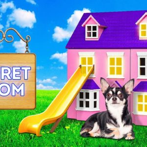 SECRET ROOM FOR MY DOG! Gadgets And Hacks For Pet Owners