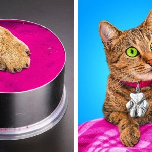 BEST CRAFTS FOR YOUR PET || HOMELESS CAT MAKEOVER