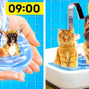 GENIUS HACKS FOR PET OWNERS || USEFUL GADGETS FOR PETS