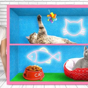 DIY CAT HOUSE 😻 Best Crafts And Gadgets For Your Pets