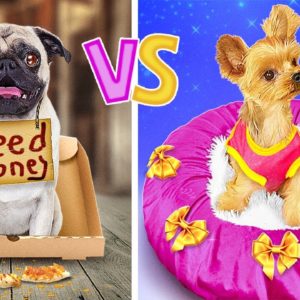 POOR vs RICH PET OWNER || Best Gadgets And Hacks For Your Pets