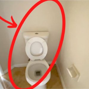 Put this BEHIND your toilet (genius hack!)