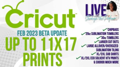 They FINALLY DID IT| Cricut DS Larger Prints IS HERE (in Beta)