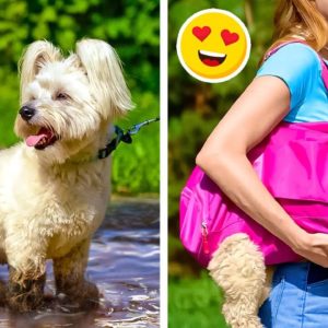 BEST GADGETS TO MAKE YOUR PETS HAPPY