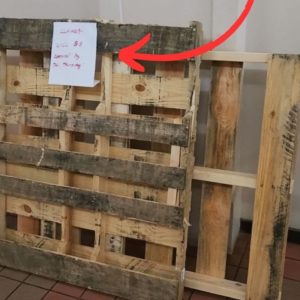 Husband GRABS abandoned pallet...(this is BRILLIANT!)