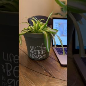 Planter DIY - Adhesive Vinyl Ideas with Cricut #diycrafts #cricut #cricutmade