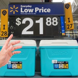 Grab a Walmart cooler for this brilliant idea!