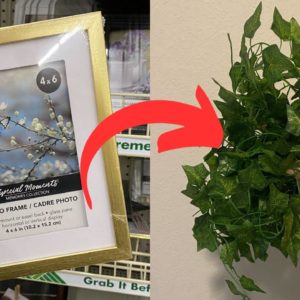 The genius NEW reason everyone's buying Dollar Store picture frames!