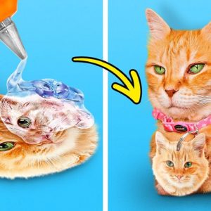 How to make Amazing Kitten House from Handy Tools 🐈 Best Pet Hacks by 5-Minute Crafts