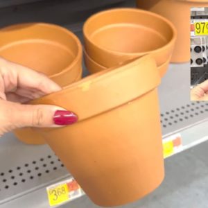 The GENIUS new fence idea everyone's copying with Walmart pots