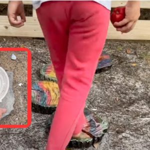 Why people are smashing plates in their garden (this is BRILLIANT!)