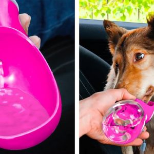 Cool Dog Gadgets And Lovely Crafts For Cats 🐈🐕 Genius Pet Hacks That Will Make Your Life Easier