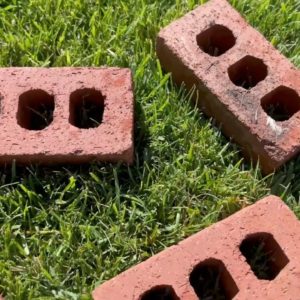 Lay bricks in your yard for this amazing garden idea!