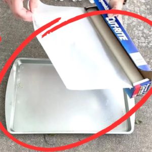 Place wax paper on your sidewalk for this GENIUS new holiday idea!