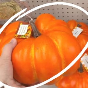 Trending NEW pumpkin DIY ideas everyone's copying in fall 2023!