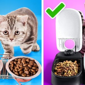 Smart Pet Hacks And DIY Survival Tricks To Be The Best Pet Owner😻🐶🔥