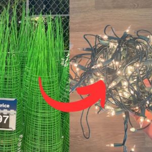 Stick Christmas light to a tomato cage for this BREATHTAKING idea!