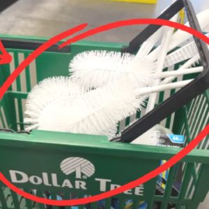 Why everyone's buying new Dollar Store toilet brushes Christmas (BRILLIANT!)