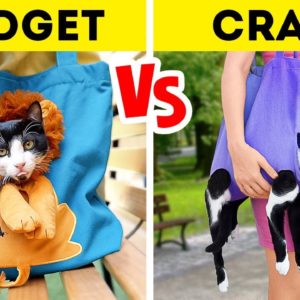 Cat Gadgets VS Crafts 🐾 Purrfect Tips For Cat Owners 😺