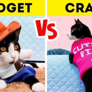 🐾 Top Hacks, Crafts & Gadgets for Savvy Pet Parents! 🐶🐱