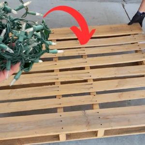 The GENIUS new pallet idea everyone's copying this Christmas!